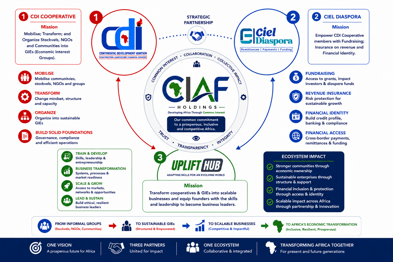 CIAF Holdings ecosystem overview